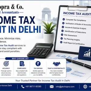 Income tax audit in delhi for better financial compliance