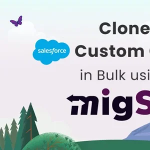 Clone salesforce objects migso
