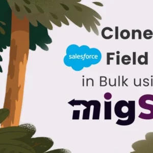 Clone salesforce fields easily with migso native salesforce me