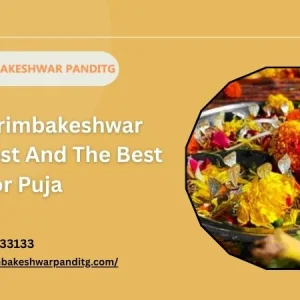 Know trimbakeshwar puja cost and the best time for puja