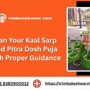 Plan your kaal sarp and pitra dosh puja with proper guidance