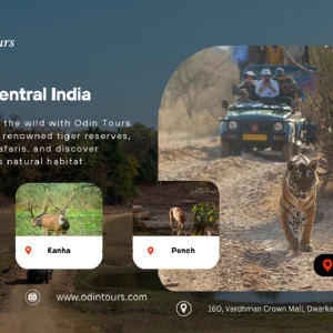 Golden triangle tour with ranthambore