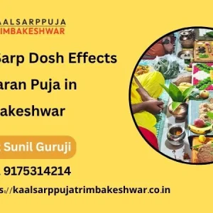 Kaal Sarp Dosh Effects and Nivaran Puja In Trimbakeshwar 