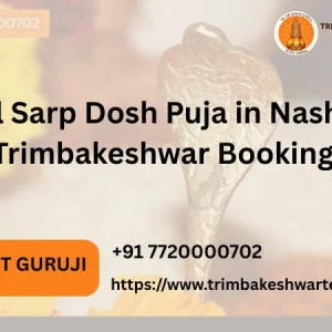 Kaal sarp dosh puja in nashik trimbakeshwar booking