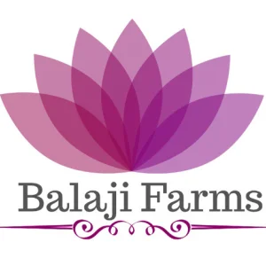Banquet hall in patna wedding venue best banquet hall