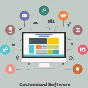 Customized software development