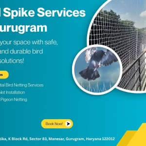 Bird spike service in gurugram for homes