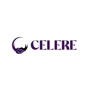 Celere services best digital marketing company in india