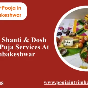 Kalsarp shanti dosh nivaran puja services at trimbakeshwar
