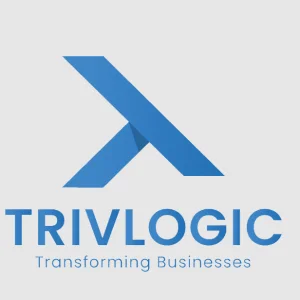 Digital marketing web software development company trivlogi