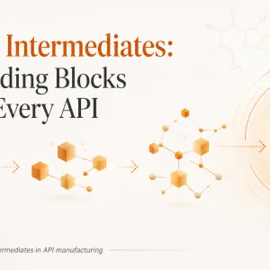 Understanding pharmaceutical ingredients and their role in drug