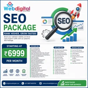Professional seo services seo package 6999