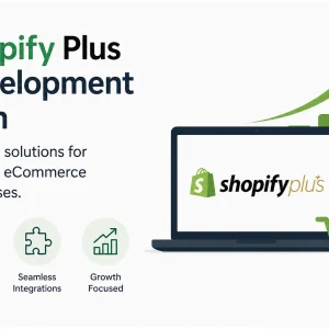 Ecommerce web development Ecommerce web development