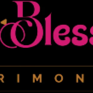 The blessings matrimonials best marriage bureau in delhi