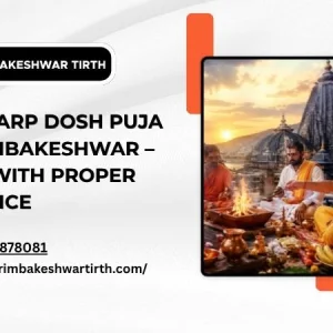 Kaal sarp dosh puja at trimbakeshwar book with proper guidance
