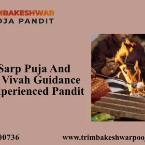 Kaal sarp puja and kumbh vivah guidance from experienced pandit