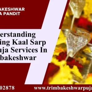 Understanding ascending kaal sarp dosh puja services in trimbak