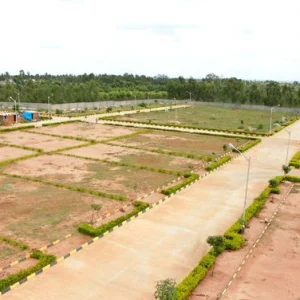 The royal greens sector 148 noida plots for sale in noida