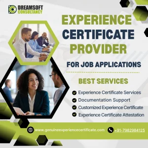 Experience certificate provider for career documentation