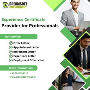 Experienced experience certificate provider for professionals