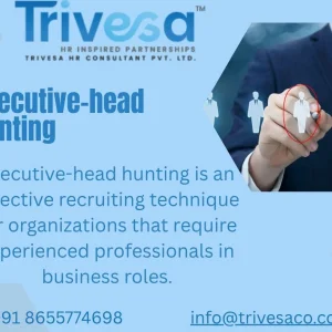 The best executive head hunting services for building business l