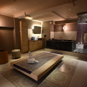 Palm vista spa