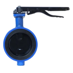 Indias trusted valve manufacturer for industrial valve solution
