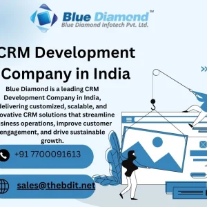 Httpswwwthebditcomcrmsoftwaredevelopmentcompanyindia