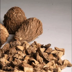 Dried chicory roots premium quality natural ingredient