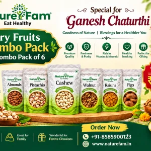 Dry fruits combo pack dry fruits combo pack of 5 naturefam