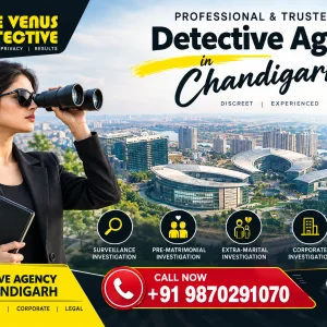 Detective agency in chandigarh confidential professional inv