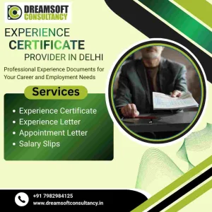 Experience certificate provider