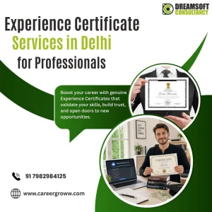 Experience certificate support in delhi for working professional