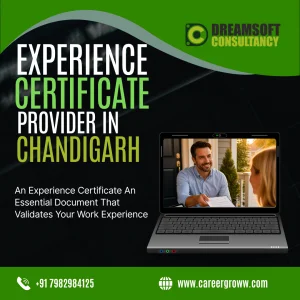 Professional employment documentation in chandigarh