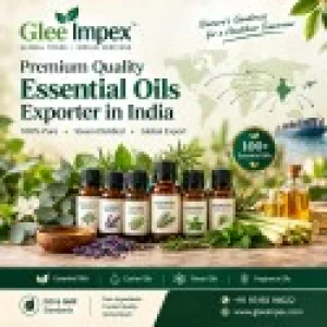 Essential oil exporter in india glee impex