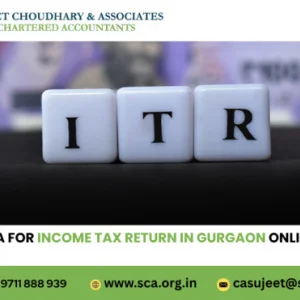 Best ca for income tax return in gurgaon online filing