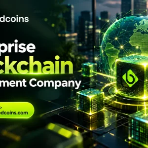 Enterprise blockchain development company for rwa tokenization