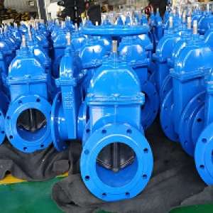 Fbe coating market