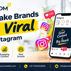 We make brands go viral on instagram workdm india
