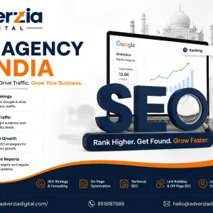 Seo agency in india