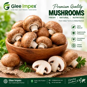 Mushrooms exporter in india glee impex
