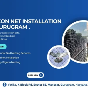 Reliable pigeon net instalition in gurugram