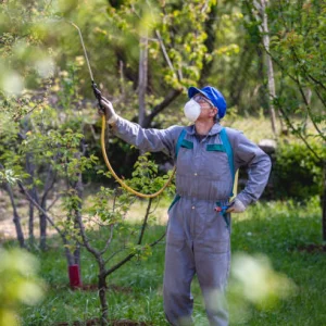 Arboricultural disease control specialists for healthy trees