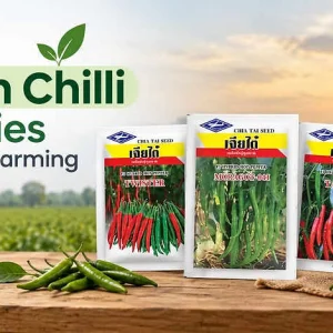 Hybrid vegetable seeds online hindustan seeds pesticides