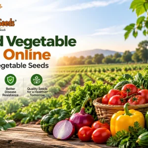 Hybrid vegetable seeds online highyield vegetable seeds