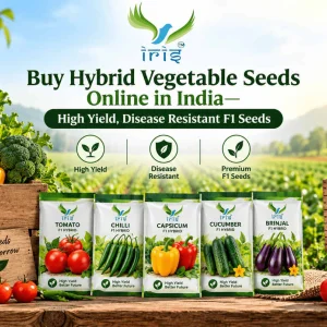 Hybrid vegetable seeds online buy quality seeds iris seeds