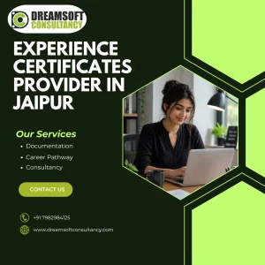 It experience certificate provider in jaipur
