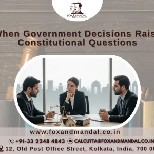 When government decisions raise constitutional questions