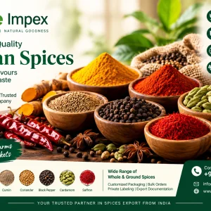 Premium spices exporter in india glee impex