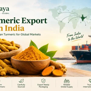 Turmeric export from india sattvaya